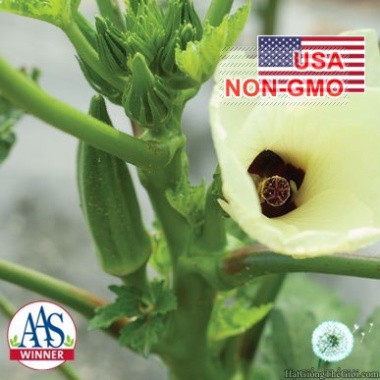 Hạt Giống Đậu Bắp Lùn Cao Sản Clemson [Gói 5g]