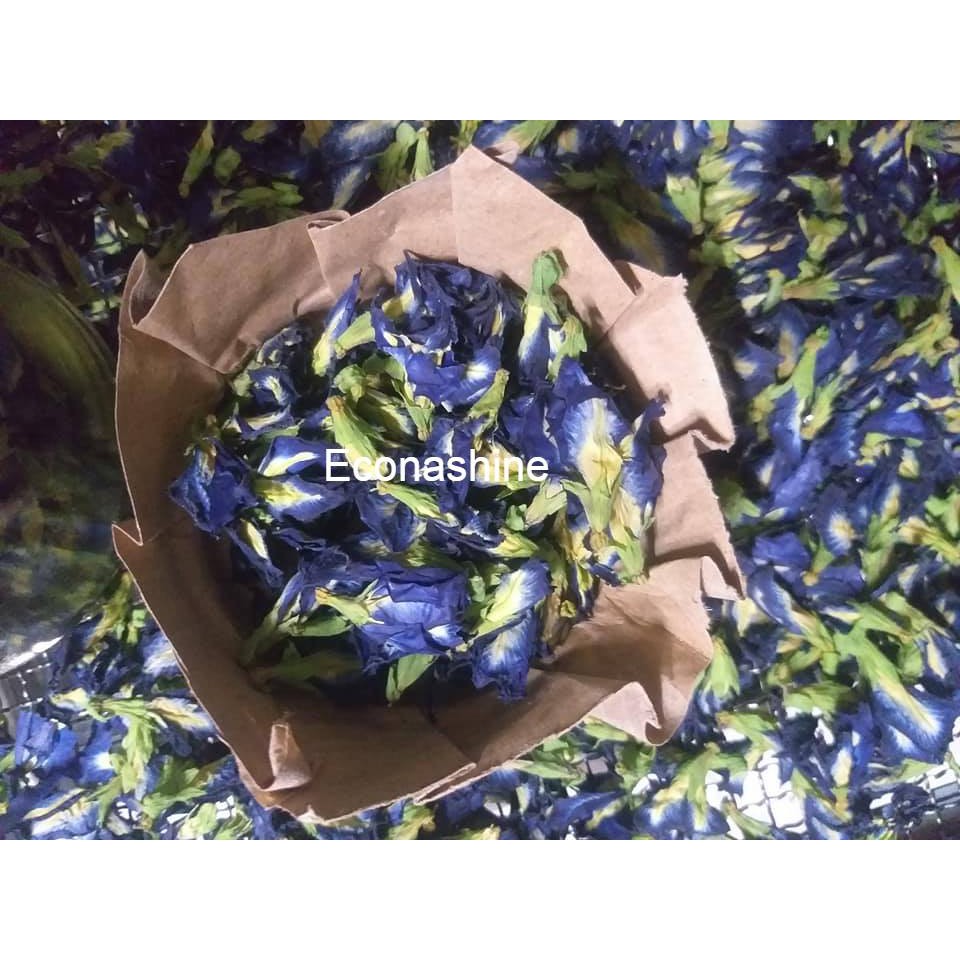 Trà sáng tạo (Creative tea) - Đậu biếc bạc hà the mát tạo hứng khởi | BigBuy360 - bigbuy360.vn