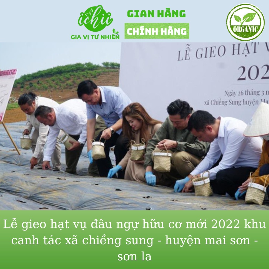 Đậu ngự hữu cơ ICHII , Đậu ngự ORGANIC SƠN LA, giống thuần chủng gói 200g