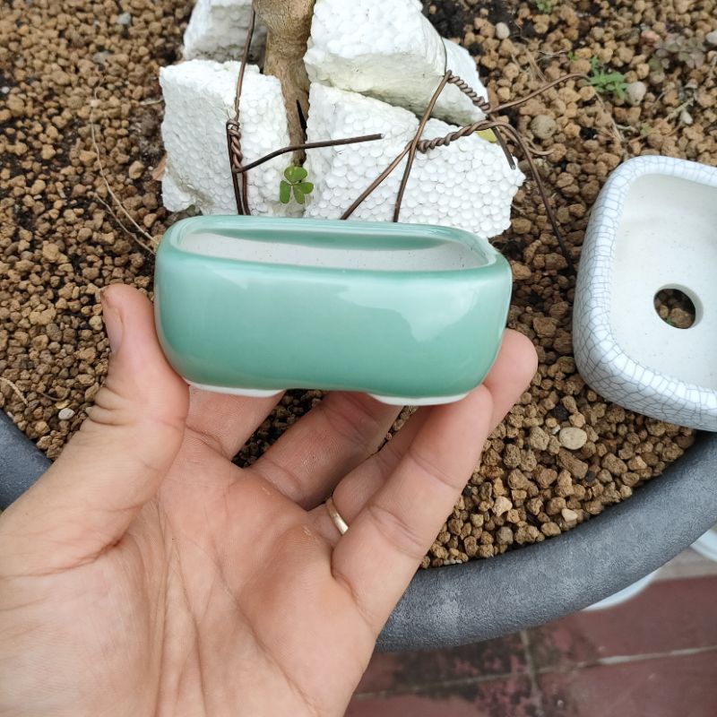 Chậu chữ nhật size nhỏ; men rạn và men ngọc