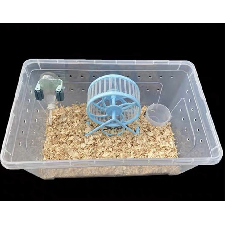 Wheel chạy di động cho hamster - Vòng quay chạy Hamster có đế - Bánh xe chạy nhựa Hamster nhiều màu sắc cao cấp