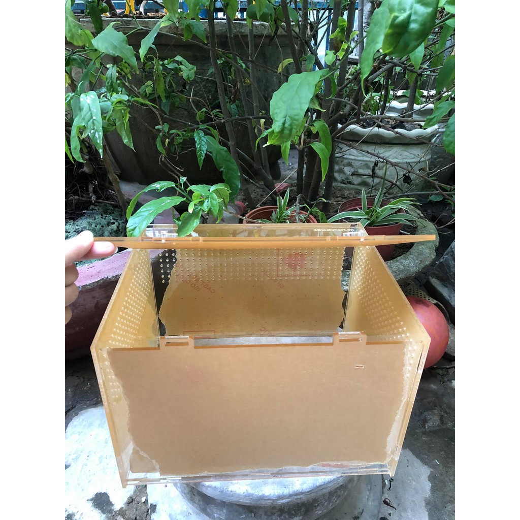 Hộp Nuôi Nhện/ Rết/ Rùa/ Ếch/ LG/bò sát...mica cao cấp KT 30x20x20