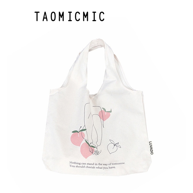 Túi vải bố canvas tote đựng đồ quần áo đeo vai thời trang nhỏ giá rẻ LUVADO TX337