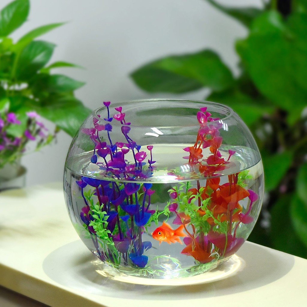 Mô hình cây nhựa trang trí bể cá độc đáo tiện dụng