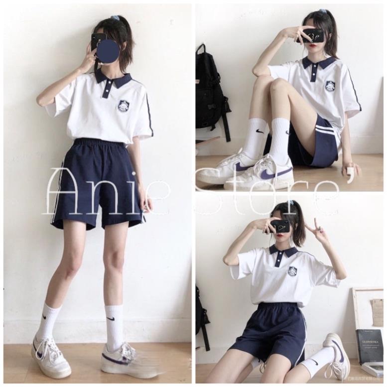 Bộ Quần Short Áo Polo Thêu Cún 🦋 Set Cộc Tay Nữ Dáng Rộng Chất Vải Thun 🦋 ©️