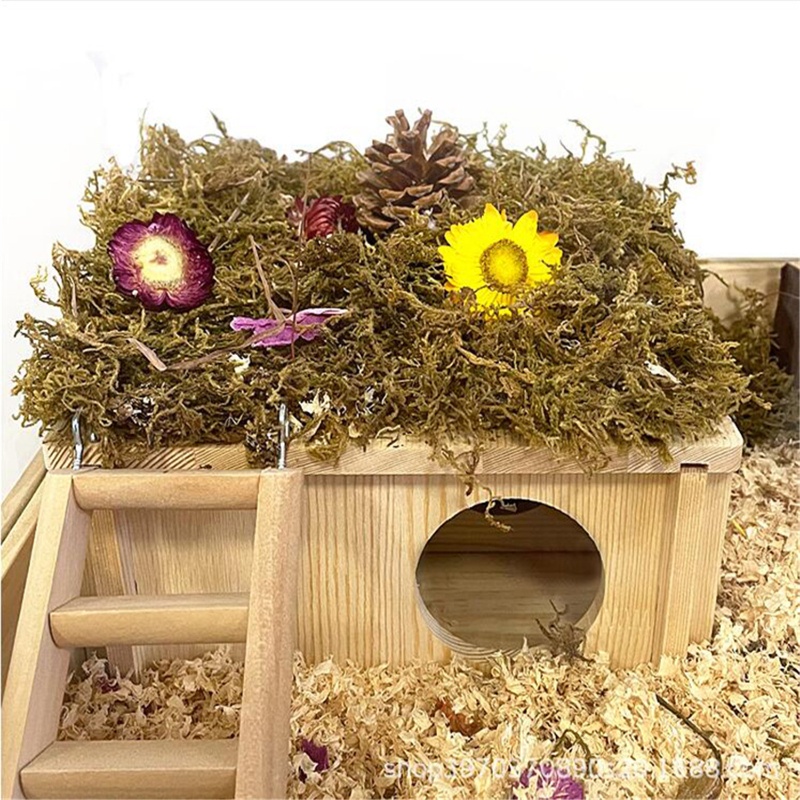 Nhà gỗ có thể tháo rời cho bền bỉ đáng yêu dành cho chuột hamster