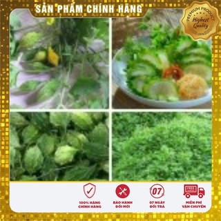 Hạt Giống Mướp Đắng( Khổ Qua) Thái Lan 10 Hạt