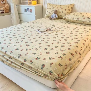 Ga gối cotton 100% phong cách Hàn Quốc - Free Bo Chun