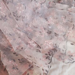 2m ren khánh linh