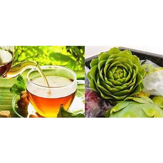 Trà atiso túi lọc - đặc sản đà lạt