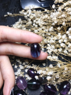 Lu thống florit sale 20-10
