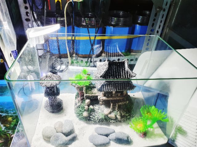 ĐÈN LED KẸP GÓC 5W MÀU TRẮNG TRANG TRÍ HỒ CÁ MINI THỦY SINH