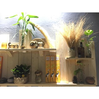 Rễ cỏ Vetiver trang trí
