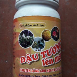 Bộ đôi men vi sinh ủ cá, đậu tương lên men