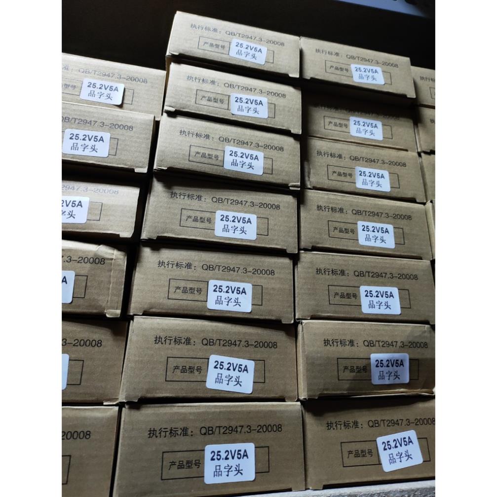 Bộ sạc pin Lithium 24V5A