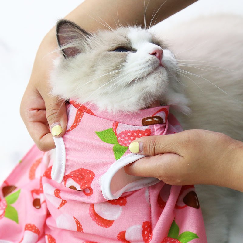 Quần áo thú cưng thời trang cho mèo size lớn nhỏ mặc mùa hè giá rẻ CANDYPETS