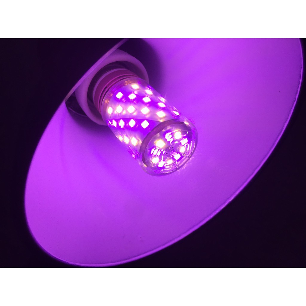 Bóng đèn led màu tím 12W dùng trang trí cảnh quan, tiệc cưới, sự kiện.
