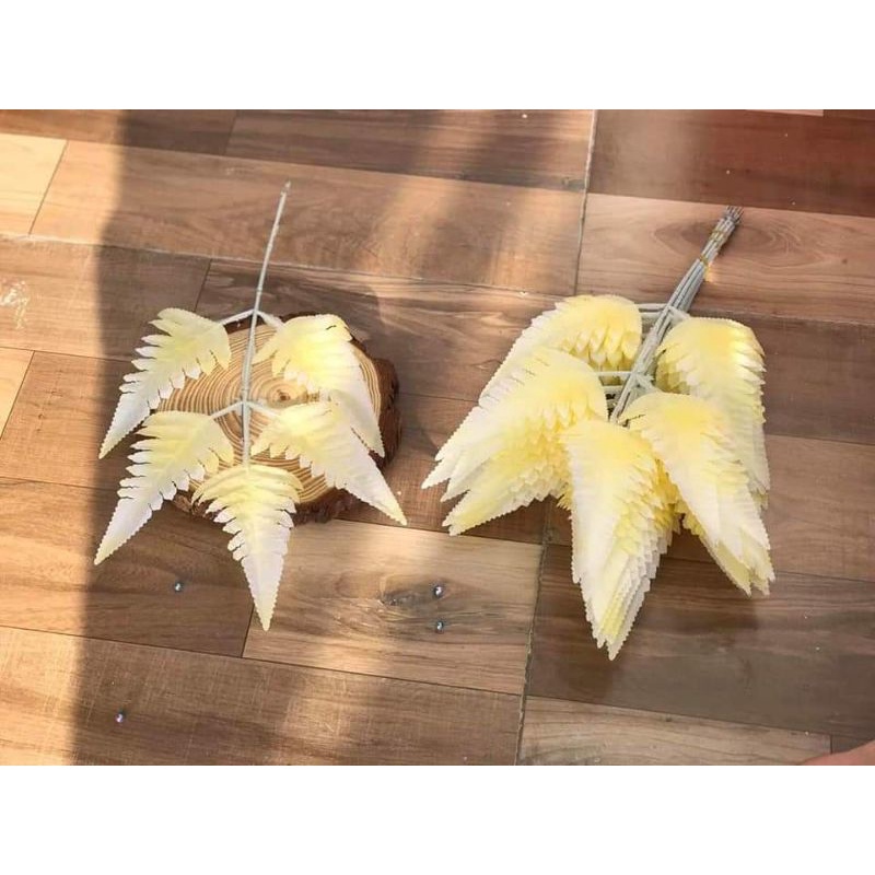 Lá dương sỉ nhỏ trang trí