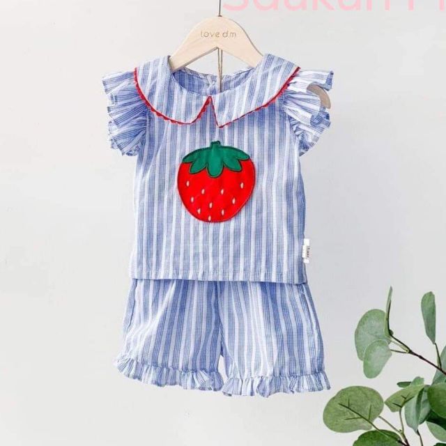 Sét bộ trái dâu cao cấp