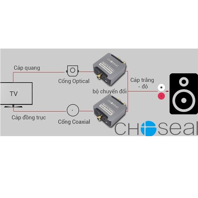 Bộ chuyển quang Choseal AQ-5601 chuyển đổi âm thanh DAC cổng SPIDF của SmartTV, tvbox..ra loa, âmly