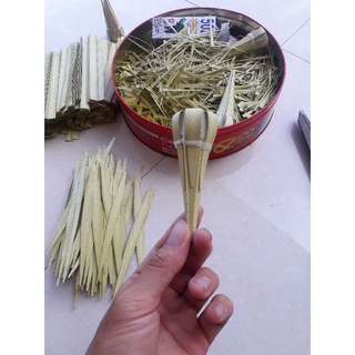 Hom lươn ống 34