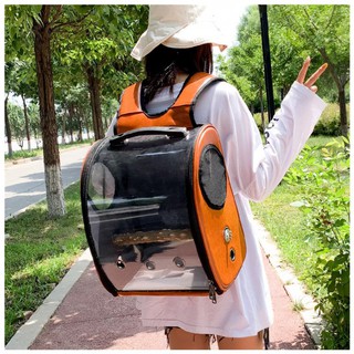 Ba Lô Du Lịch Chất Lượng Dành Cho Vẹt