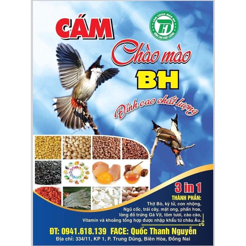 Cám Chào Mào BH - 3in1