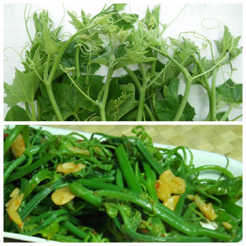 Hạt giống bí siêu ngọn F1 siêu dễ trồng thu hoạch cao [ gói 50gram,100gram,200gram]