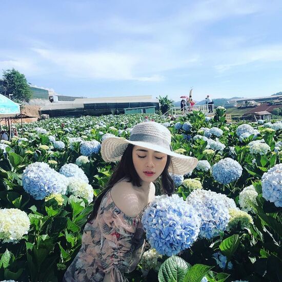 [EVoucher Vietravel] Đà Lạt: Đón Bình Minh - Săn Mây