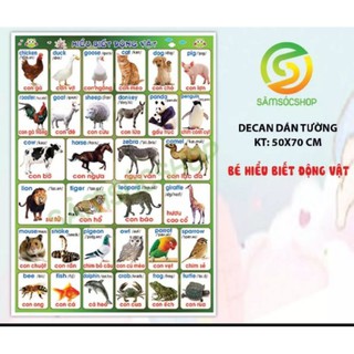 Nhận biết các con vật_ decal dán tường pp cho bé