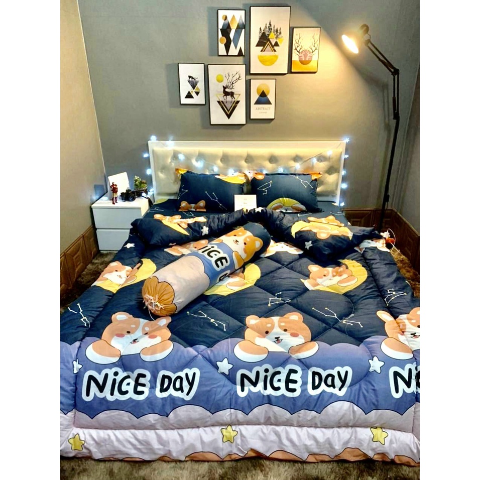 Chăn phao trần bông cotton poly m8x2m ( chát chọn mẫu)