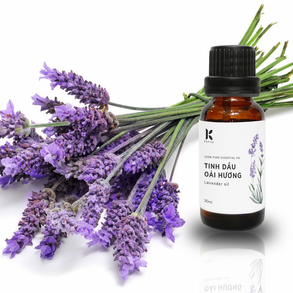Tinh dầu oải hương Kepha 10ml mùi hương quyến rũ từ nước Pháp | BigBuy360 - bigbuy360.vn