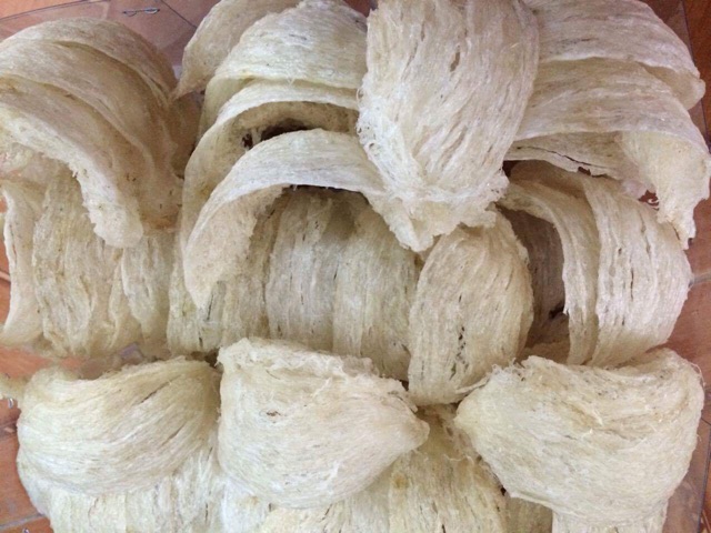 Yến sào - Sơ chế rút lông+🎁, 50gr và 100gr | BigBuy360 - bigbuy360.vn