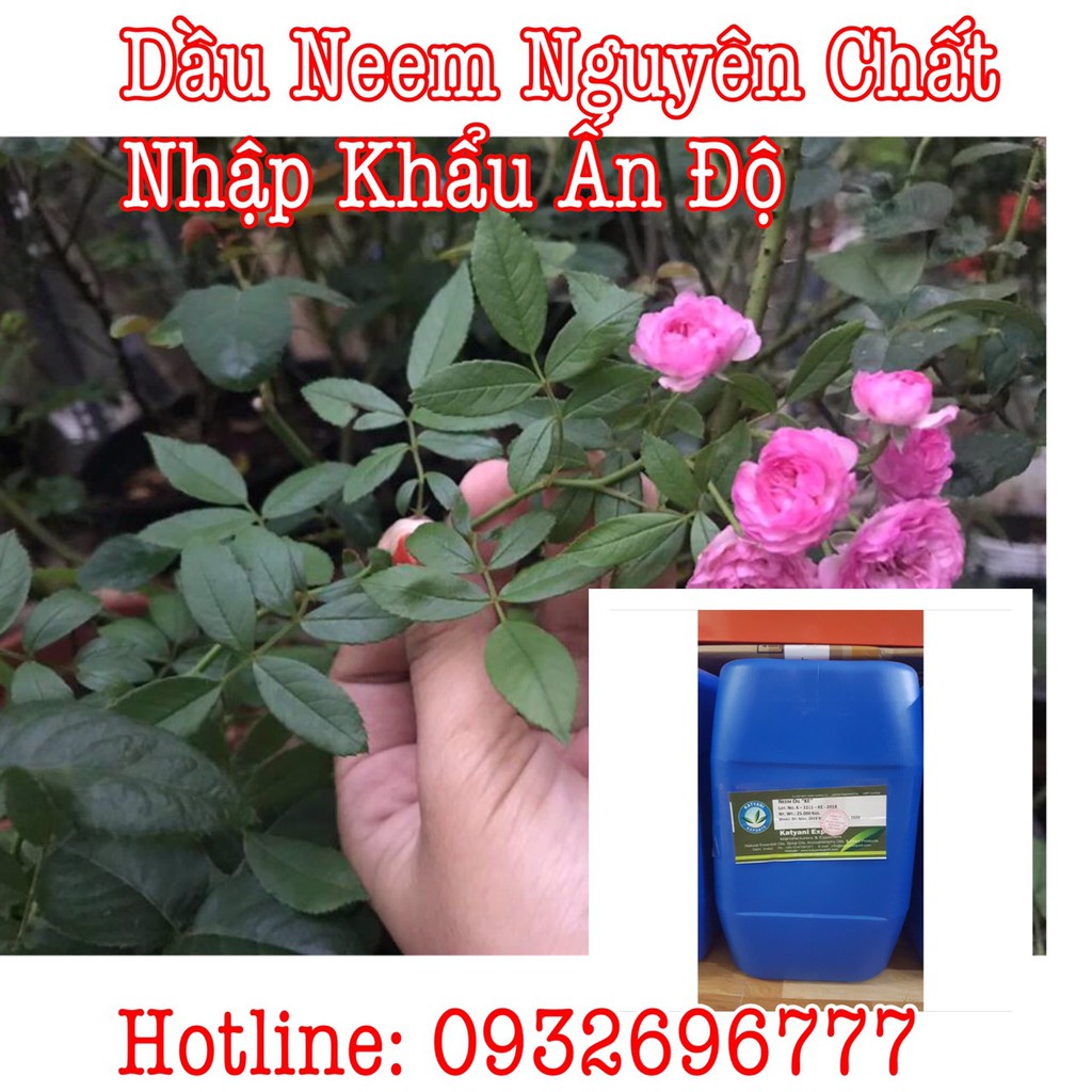 organic dầu hạt sầu đâu-neem oil nguyên chất 0.5 lít