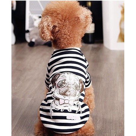 Áo hoạt hình thời trang cho thú cưng chó mèo