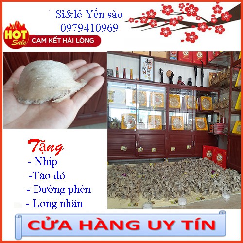 Tổ yến sào thô 6-7gr loại VIP ⚡️𝐅𝐑𝐄𝐄 𝐒𝐇𝐈𝐏⚡️ ít lông Tặng kèm táo đỏ, đường phèn, hạt chia - Yến Thô nguyên chất