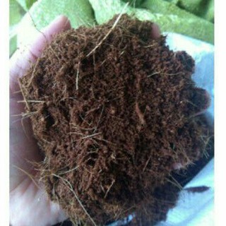 2kg mụn xơ dừa dùng trồng cây
