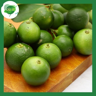 Trái tắc tươi ngon 200gr