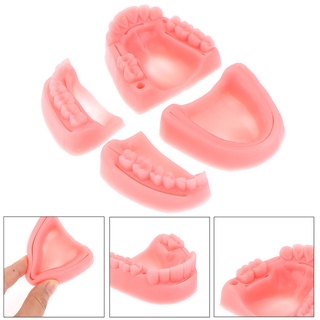 Bộ 4 Mô Hình Răng Giả Độc Đáo