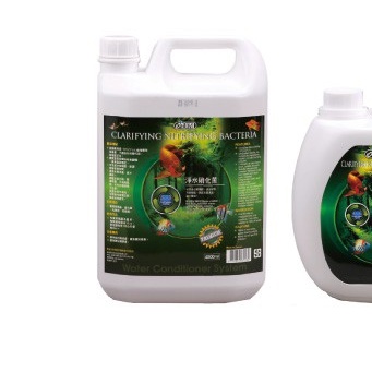 Vi sinh sống làm trong nước và khử nitate hồ cá cảnh Đài Loan