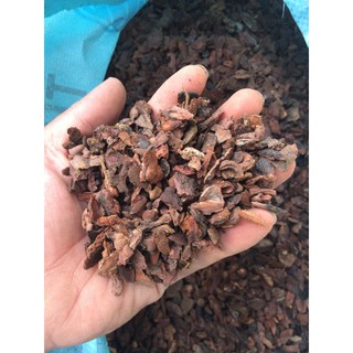Vỏ thông trồng phong lan size 0.5 cm