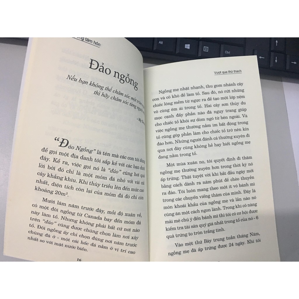 Sách - Hạt Giống Tâm Hồn 9 - Vượt Qua Thử Thách | BigBuy360 - bigbuy360.vn