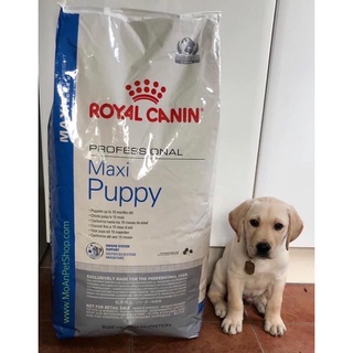 Royal canin Mini puppy 15kg / Mini adult 15kg / medium puppy 16kg / medium adult 16kg / maxi puppy 16kg /maxi adult 16kg