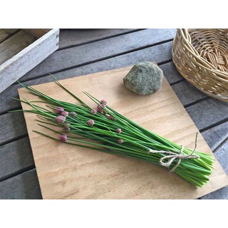 Hạt giống Hẹ Lá Cao Sản Nhật Bản S - Tỉ Lệ Nảy Mầm Cao, Thu Hoạch Quanh Năm