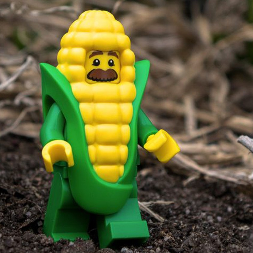 Đồ Chơi Lắp Ráp LEGO Minifigures Người Bắp Ngô Corn Cob Guy 71018 Series 17