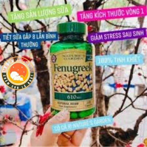 Lợi Sữa Fenugreek Nature's Garden 610mg Hộp 100 Viên của Anh giúp mẹ tăng sản lượng sữa, nguồn sữa thơm ngon cho bé