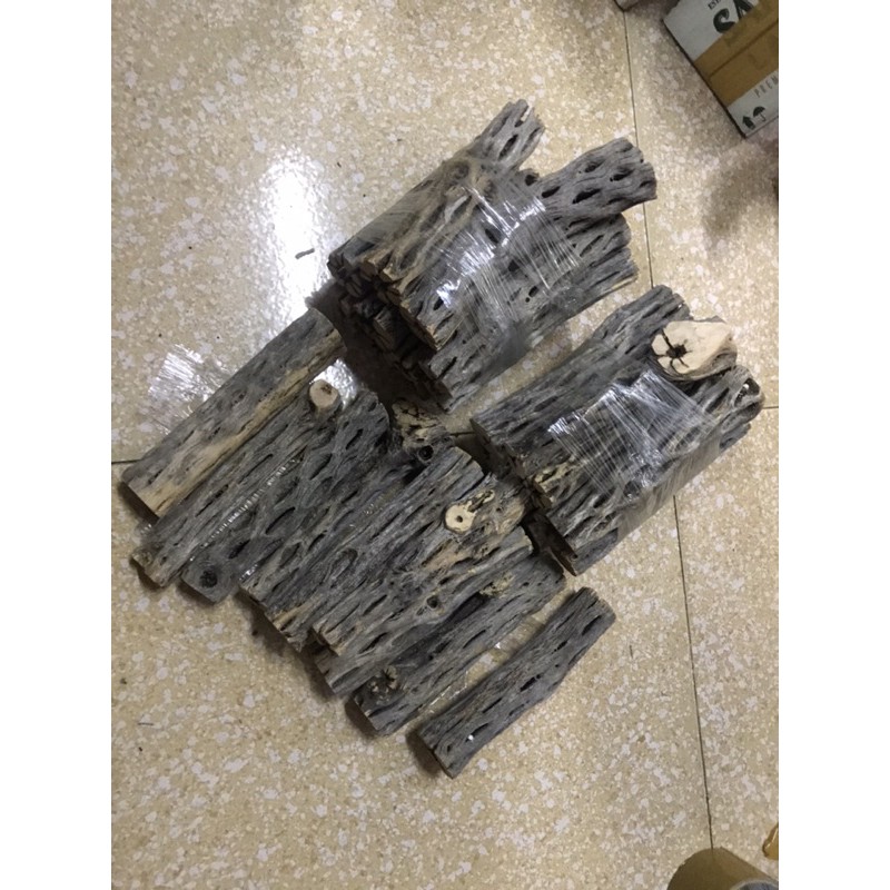 Lũa cholla cho cá tép