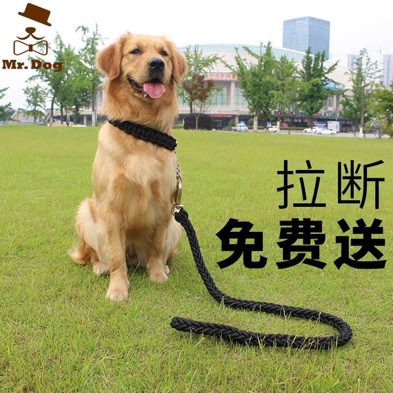 Dây Đeo Cổ Cho Thú Cưng Loại Vừa Và Lớn