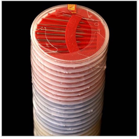 bộ 24 cây kim may tay nhiều size dùng trong gia đình