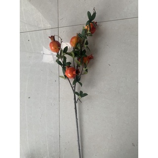 Lựu 6 quả giá rẻ trang trí nhà cửa